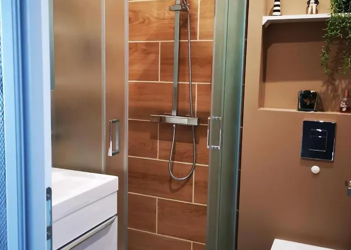 De France - Les Violettes *