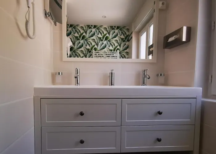 De France - Les Violettes *